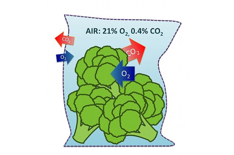 激光打孔??氣調(diào)果蔬保鮮包裝運用方案(圖1)