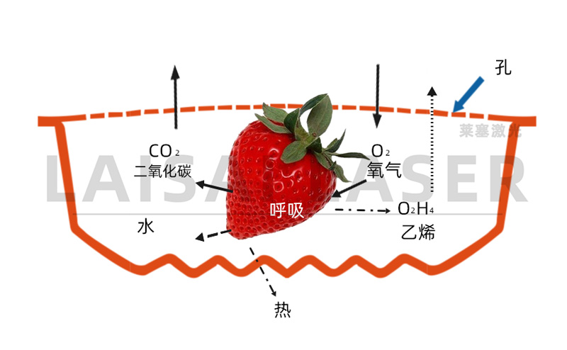 激光打孔??氣調(diào)果蔬保鮮包裝運用方案(圖3)
